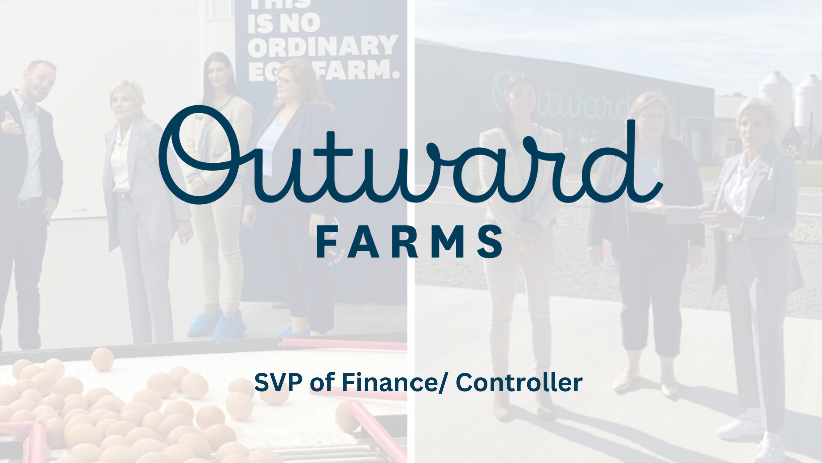 OF - SVP of Finance Controller