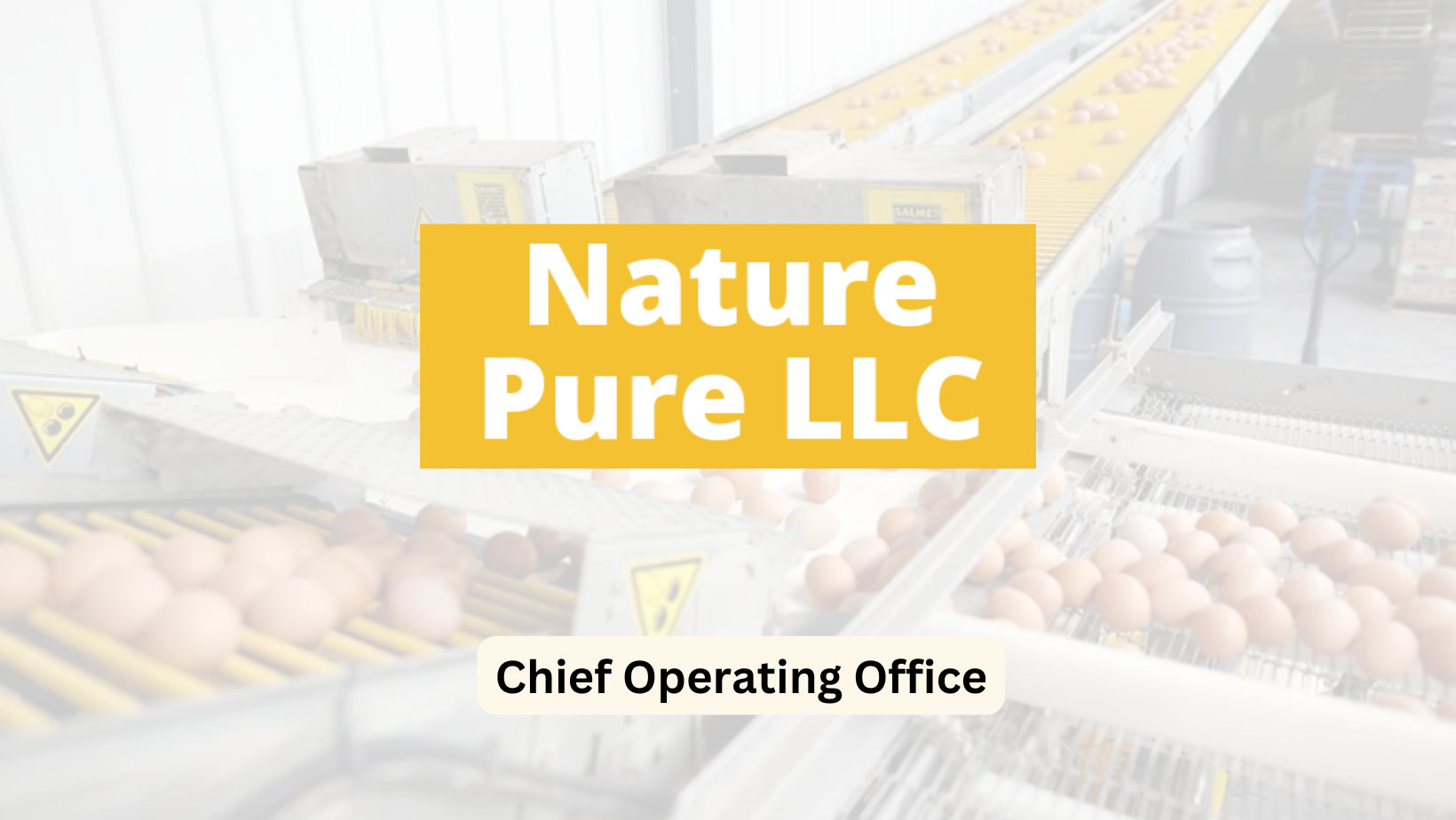 NP - Chief Operating Office