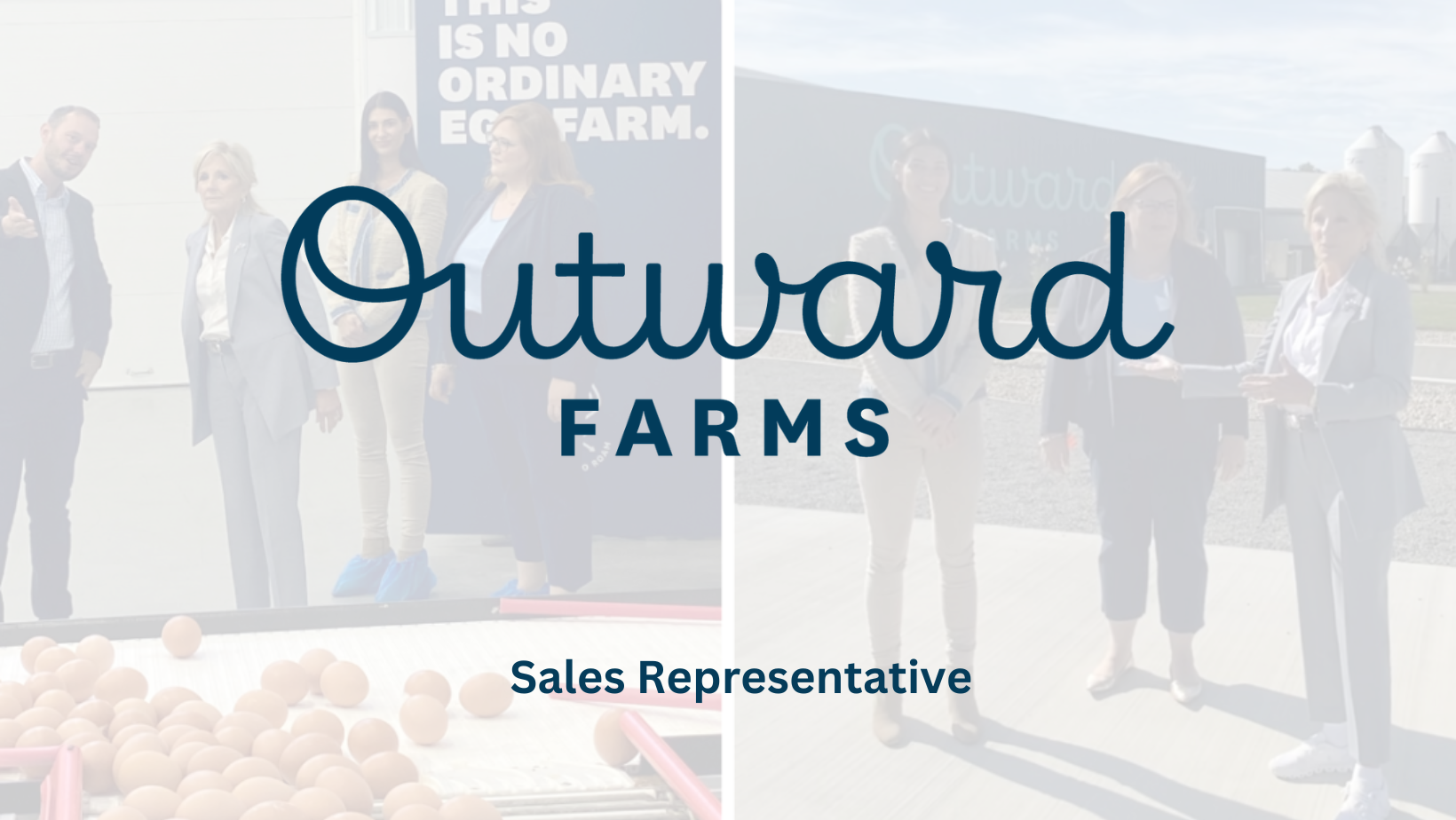 OF - Sales Representative